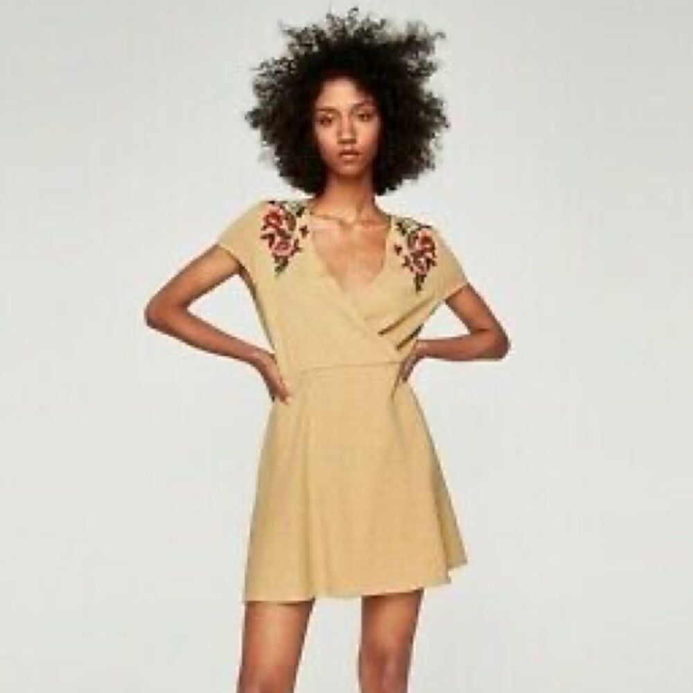 Zara Embroidered Mini Dress